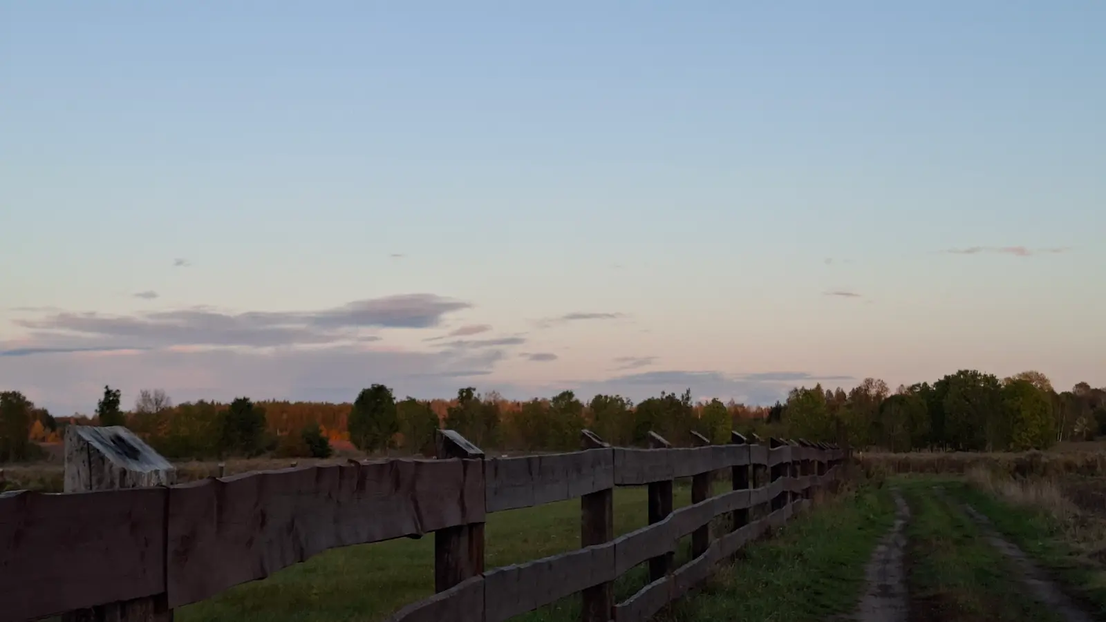 Zdjęcie w orientacji poziomej ukazuje wiejski krajobraz o zachodzie słońca, gdzie głównym elementem kompozycyjnym jest długi, drewniany płot biegnący wzdłuż polnej drogi. Konstrukcja ogrodzenia wykonana jest z ciemnych, surowych desek, które prowadzą wzrok widza w głąb kadru, tworząc wyraźną linię podziału między ścieżką a łąką. W tle widać gęstą linię drzew o barwach jesieni, delikatnie oświetlonych ciepłym światłem zachodzącego słońca. Niebo nad horyzontem jest bezchmurne, utrzymane w pastelowych odcieniach błękitu i różu, co nadaje scenie spokojny i nostalgiczny charakter. Cały obraz cechuje naturalne oświetlenie i szeroki plan, który doskonale oddaje przestrzeń i ciszę natury.