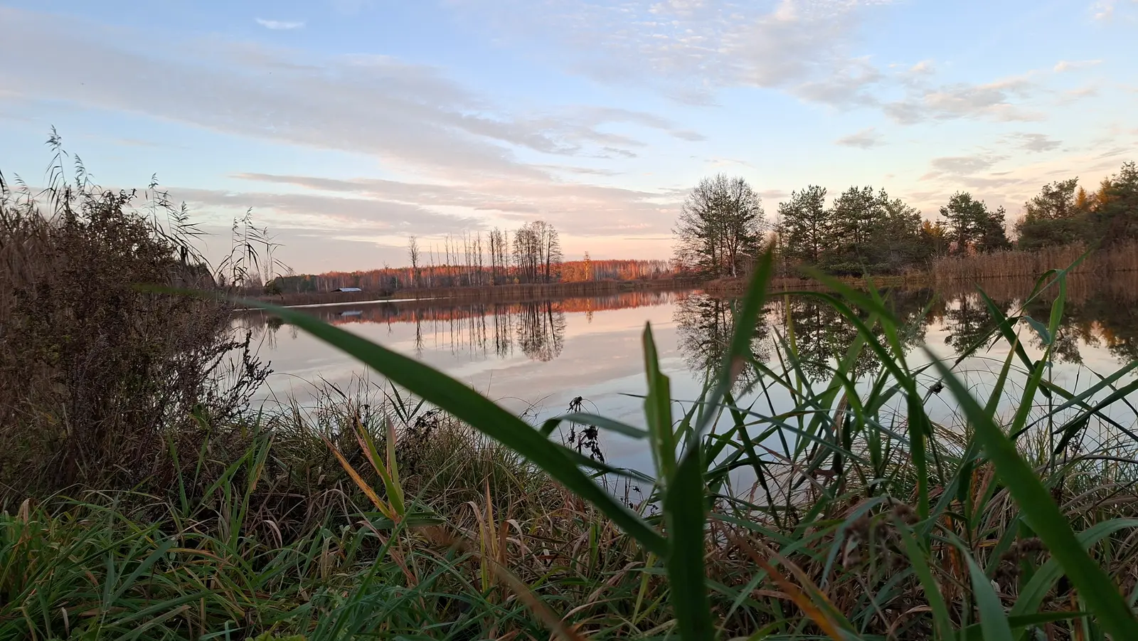 Zdjęcie krajobrazowe w formacie poziomym przedstawia spokojne jezioro w jesiennej scenerii podczas zachodu słońca. Na pierwszym planie widać wyraźnie zarysowane, wysokie źdźbła traw, które tworzą naturalną ramę dla otwartej tafli wody. W tle rozciąga się linia brzegowa z drzewami iglastymi i liściastymi, których obraz odbija się wyraźnie w lustrzanej powierzchni jeziora. Niebo pokryte jest delikatnymi, rozproszonymi chmurami, zabarwionymi na subtelne odcienie różu i błękitu, co nadaje kompozycji romantyczny, melancholijny charakter. Cała scena utrzymana jest w stonowanej kolorystyce z dominacją brązów, zieleni i pastelowego nieba, co czyni ją idealnym tłem dla projektów związanych z naturą i ekologią.