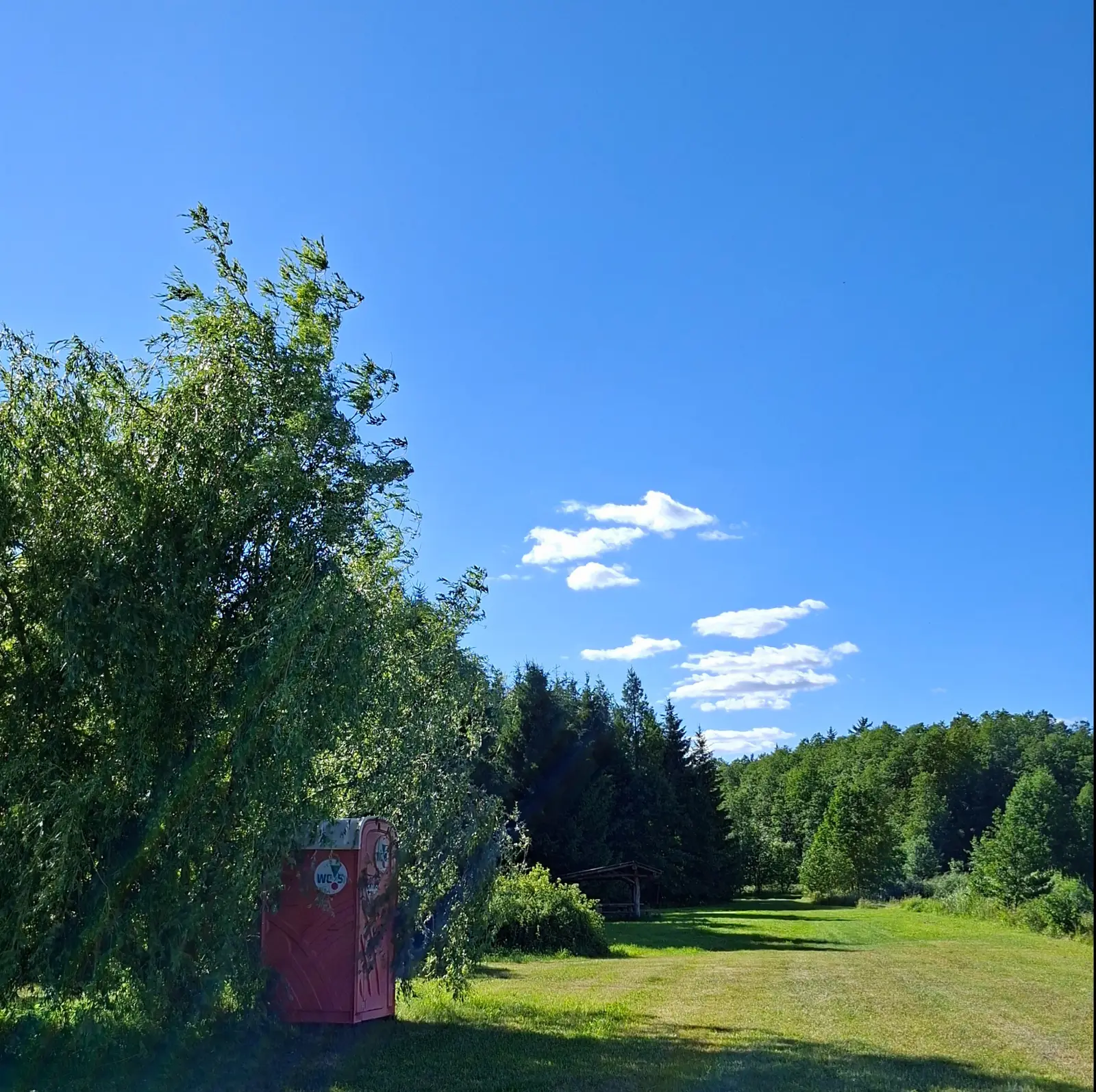 Zdjęcie w formacie kwadratowym przedstawia otwarty, słoneczny teren rekreacyjny w pogodny dzień z wyraźnie błękitnym niebem. Na pierwszym planie, po lewej stronie, znajduje się czerwona przenośna toaleta typu Toi-Toi, która jest częściowo przysłonięta przez rozłożyste gałęzie dużej, zielonej wierzby. W tle widać rozległą polanę porośniętą trawą, która prowadzi w stronę gęstego, iglastego lasu widocznego po prawej stronie kadru. Pośród drzew w głębi znajduje się niewielka drewniana wiata wypoczynkowa, która wkomponowuje się w naturalne otoczenie. Całość kompozycji charakteryzuje się dużym kontrastem między jasnym, bezchmurnym niebem a zacienionymi fragmentami przy drzewach i toalecie.
