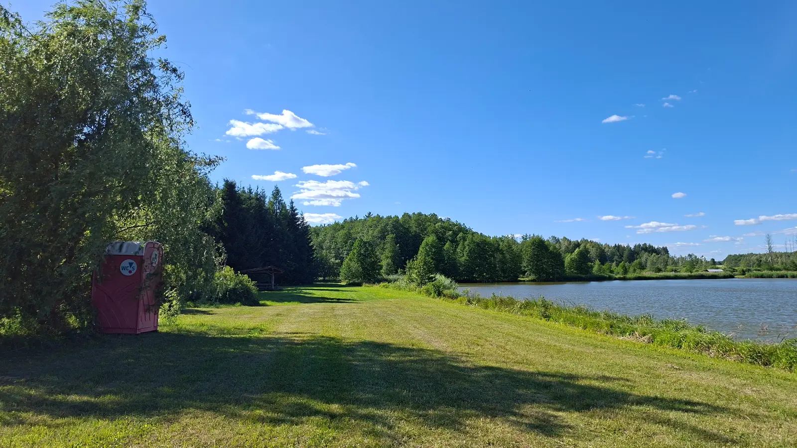 Zdjęcie przedstawia sielski krajobraz w orientacji poziomej, gdzie szeroki, zielony pas trawnika prowadzi wzrok widza od lewej strony w głąb kadru. Po lewej stronie, pod rozłożystym drzewem, ustawiona jest czerwona przenośna toaleta typu toi-toi z widocznym logotypem „WC SERWIS”. W tle rozciąga się spokojne jezioro otoczone gęstym, iglasto-liściastym lasem, które zajmuje prawą stronę kompozycji. Całość skąpana jest w pełnym świetle słonecznym, a nad terenem dominuje głębokie, błękitne niebo z kilkoma delikatnymi, białymi chmurami. Oświetlenie naturalne rzuca długie cienie na trawę, podkreślając wypoczynkowy charakter tego otwartego, rekreacyjnego miejsca.