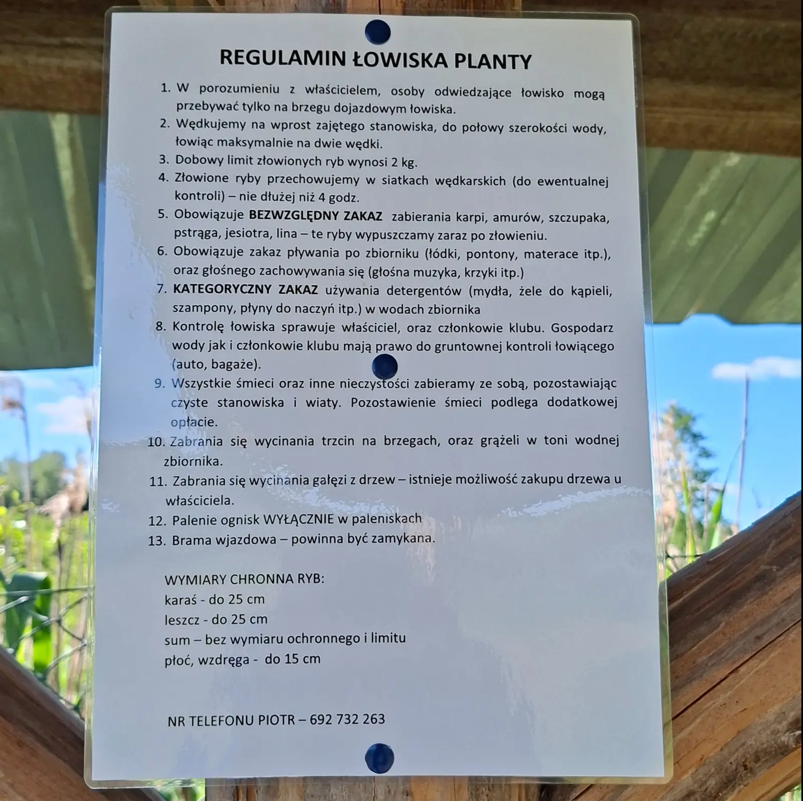 Zdjęcie przedstawia pionowo zorientowaną tablicę z regulaminem łowiska wędkarskiego „Planty”, zamontowaną na drewnianej konstrukcji w otoczeniu przyrody. Tablica ma format prostokątny o proporcjach zbliżonych do 3:4 i jest przymocowana niebieskimi pineskami. Treść dokumentu zawiera szczegółowe zasady korzystania z łowiska, w tym limity połowów, zakazy dotyczące używania detergentów i hałasowania oraz wymiary ochronne ryb. Pełny tekst na tablicy brzmi: „REGULAMIN ŁOWISKA PLANTY 1. W porozumieniu z właścicielem, osoby odwiedzające łowisko mogą przebywać tylko na brzegu dojazdowym łowiska. 2. Wędkujemy na wprost zajętego stanowiska, do połowy szerokości wody, łowiąc maksymalnie na dwie wędki. 3. Dobowy limit złowionych ryb wynosi 2 kg. 4. Złowione ryby przechowujemy w siatkach wędkarskich (do ewentualnej kontroli) – nie dłużej niż 4 godz. 5. Obowiązuje BEZWZGLĘDNY ZAKAZ zabierania karpi, amurów, szczupaka, pstrąga, jesiotra, lina – te ryby wypuszczamy zaraz po złowieniu. 6. Obowiązuje zakaz pływania po zbiorniku (łódki, pontony, materace itp.), oraz głośnego zachowywania się (głośna muzyka, krzyki itp.) 7. KATEGORYCZNY ZAKAZ używania detergentów (mydła, żele do kąpieli, szampony, płyny do naczyń itp.) w wodach zbiornika 8. Kontrolę łowiska sprawuje właściciel, oraz członkowie klubu. Gospodarz wody jak i członkowie klubu mają prawo do gruntownej kontroli łowiącego (auto, bagaże). 9. Wszystkie śmieci oraz inne nieczystości zabieramy ze sobą, pozostawiając czyste stanowiska i wiaty. Pozostawienie śmieci podlega dodatkowej opłacie. 10. Zabrania się wycinania trzcin na brzegach, oraz grążeli w toni wodnej zbiornika. 11. Zabrania się wycinania gałęzi z drzew – istnieje możliwość zakupu drzewa u właściciela. 12. Palenie ognisk WYŁĄCZNIE w paleniskach 13. Brama wjazdowa – powinna być zamykana. WYMIARY CHRONNA RYB: karaś - do 25 cm, leszcz - do 25 cm, sum - bez wymiaru ochronnego i limitu, płoć, wzdręga - do 15 cm. NR TELEFONU PIOTR – 692 732 263”. W tle zdjęcia widoczne jest rozmyte niebieskie niebo oraz roślinność, co nadaje kompozycji naturalnego charakteru.