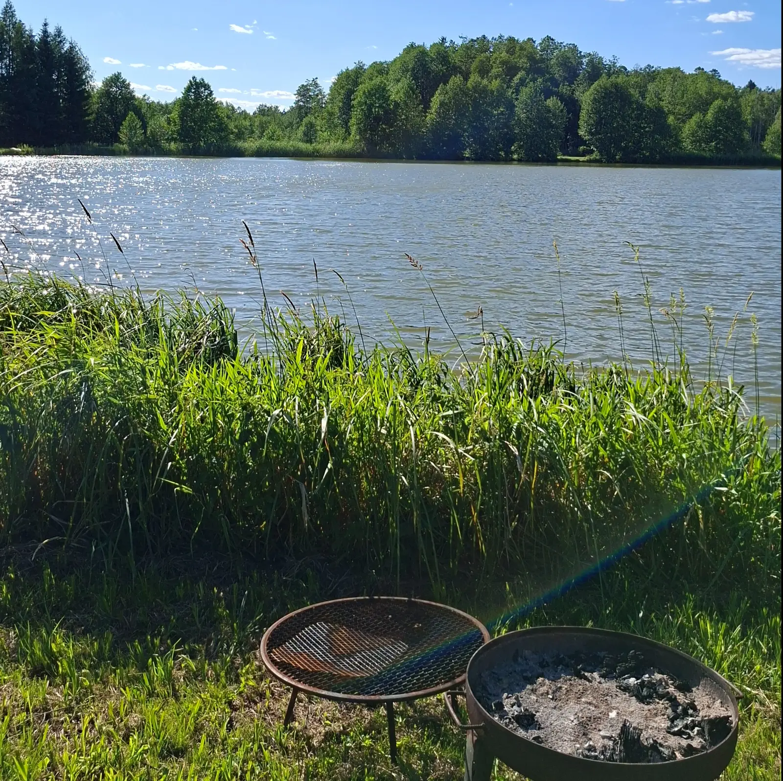 Zdjęcie przedstawia sielski krajobraz nad jeziorem w orientacji pionowej (proporcje 1:1), gdzie na pierwszym planie znajdują się dwa metalowe paleniska grillowe ustawione na trawiastym brzegu. Wysokie, soczyście zielone trawy dominują w dolnej i środkowej części kadru, przesłaniając widok na taflę wody, w której odbijają się promienie słoneczne. W tle rozciąga się pas gęstego, liściastego lasu, który tworzy naturalną linię horyzontu na tle bezchmurnego, jasnoniebieskiego nieba. Po prawej stronie zdjęcia widoczny jest subtelny efekt flary słonecznej w kształcie tęczowego łuku, dodający fotografii ciepłego, letniego charakteru. Całość kompozycji podkreśla atmosferę wypoczynku na łonie natury w słoneczny, letni dzień.